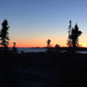 Meet your Posher, Louise